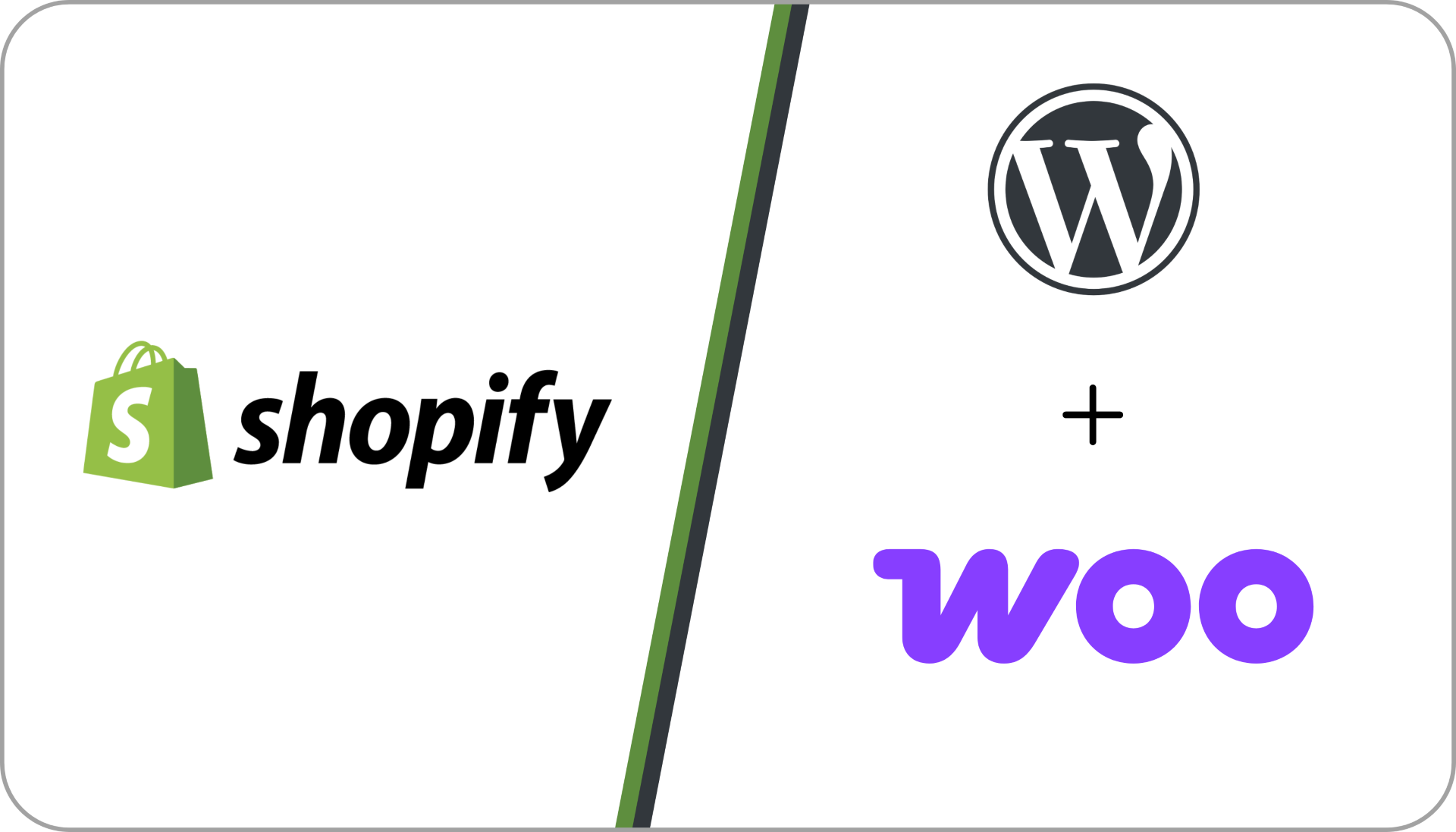 shopify or wordpress woocomerce